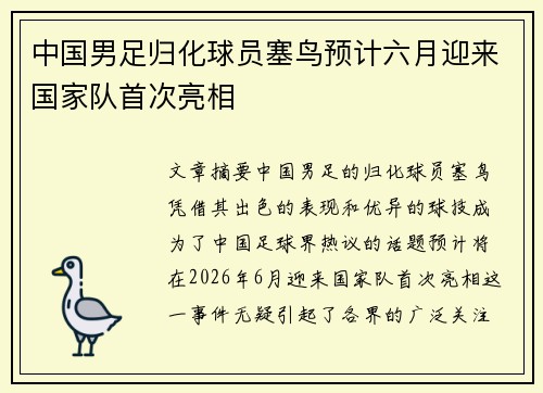 中国男足归化球员塞鸟预计六月迎来国家队首次亮相